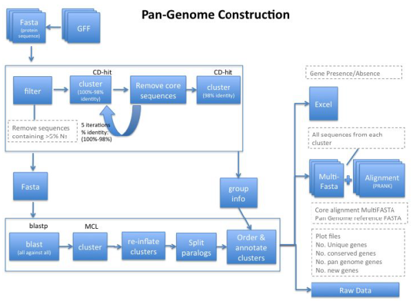 Roary의 pan-genome construction. Supplementary Data file에서 발췌.